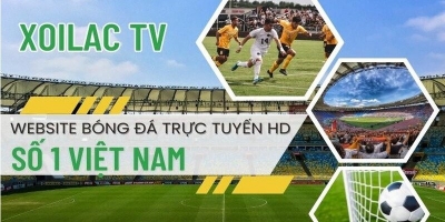 Top 5 tính năng nổi bật của Xoilac-tvv.lol khiến fan bóng đá nên thử